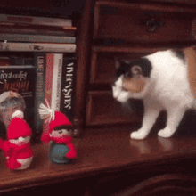 Cat Angry GIF - Cat Angry Merry Christmas GIFs