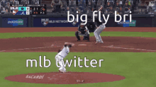 Big Fly Bri GIF - Big Fly Bri GIFs