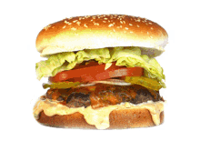 hamburger spinning burger food cheeseburger