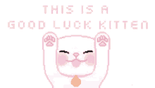 Good Luck Kitten GIF - Good Luck Kitten Good Luck GIFs