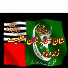 Rana Farooqi Flag GIF - Rana Farooqi Flag Wave GIFs