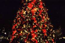 Christmas Tree Christmas Lights GIF - Christmas Tree Christmas Lights GIFs