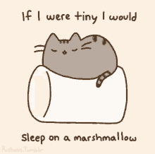 small tiny little marshmallow