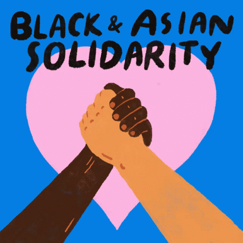 black-and-asian-solidarity-black-lives-matter.gif