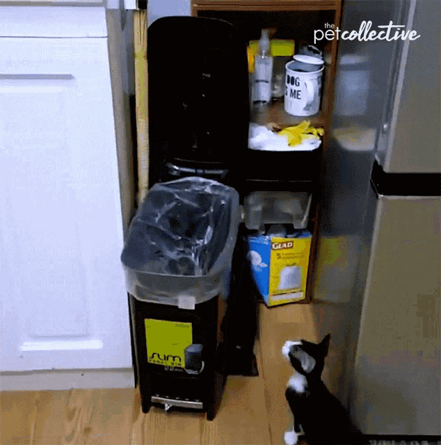 jump-fall.gif