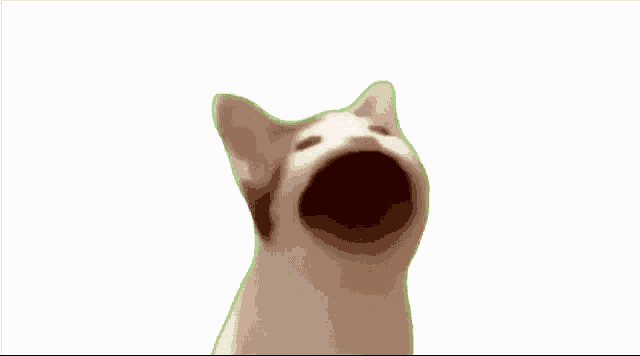 Pop Cat Gif Pop Cat Meme Discover Share Gifs