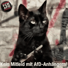 Cat Nail Filing GIF - Cat Nail Filing Tell Me More GIFs
