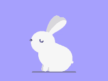 Rabbit Hop GIF - Rabbit Hop GIFs