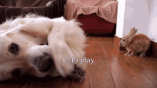 Lets Play I Want To Play GIF - Lets Play I Want To Play Play GIFs