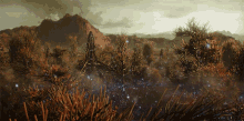 magical forest star trek discovery supernatural forest magical jungle paramount plus magical forest star trek discovery supernatural forest magical jungle paramount plus