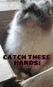 Catch These GIF - Catch These Hands GIFs