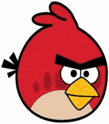 Angry Birds GIF - Angry Birds Birds GIFs