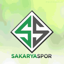 tam35 sakaryaspor