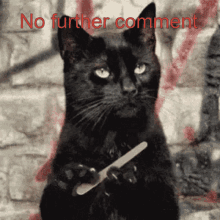 Cat Filing Nails No Further Comment GIF - Cat Filing Nails No Further Comment Black Cat GIFs