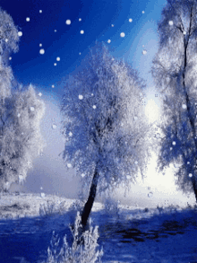 snowfall cold lake trees