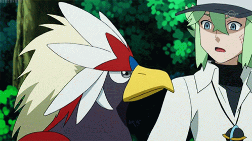[PokeCommunity.com] The Pokemon Race Version 5.0
