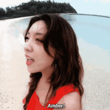 Amber Fx GIF - Amber Fx Amber Liu GIFs
