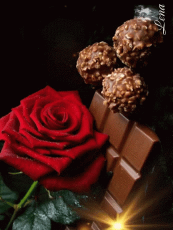 Love Red Rose GIF - Love Red Rose Flower - Discover & Share GIFs