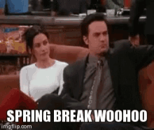 Friends Spring Break GIF - Friends Spring Break Lets Party GIFs