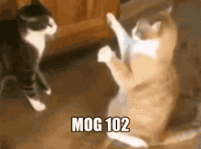 mog mog102