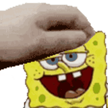 sponge spongebob squarepants barnacle style sponge spongebob squarepants barnacle style