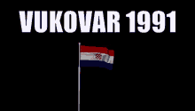 Vukovar Croatia GIF - Vukovar Croatia Hrvatska GIFs
