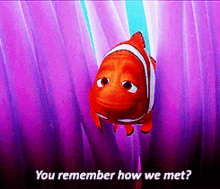 Finding Nemo Marlin GIF - Finding Nemo Marlin You Remember How We Met GIFs