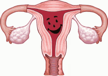 koolaid blood uterus