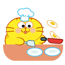 cooking cute fat kitty cat