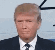 Donald Trump Sarcasm GIF - Donald Trump Sarcasm Laugh GIFs
