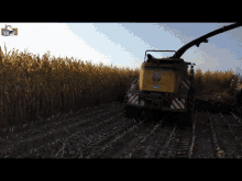 chopping forage