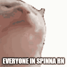 spinnacinna
