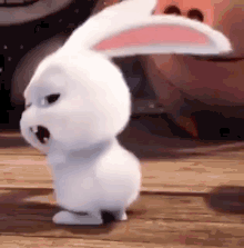 Rabbit Bunny GIF - Rabbit Bunny GIFs
