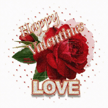 %E0%A4%97%E0%A5%81%E0%A4%B2%E0%A4%BE%E0%A4%AC happy