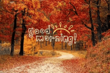 Good Morning GIF - Good Morning Greetings GIFs