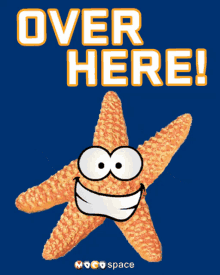 Over Here Yoohoo GIF - Over Here Yoohoo Starfish GIFs