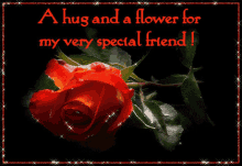 For A Special Friend Hug Friend GIF - For A Special Friend Special Friend Hug Friend GIFs