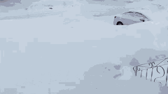 Hello There Dive Into Snow GIF - Hello There Dive Into Snow Hi There 