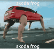 Skoda Frog GIF - Skoda Frog GIFs