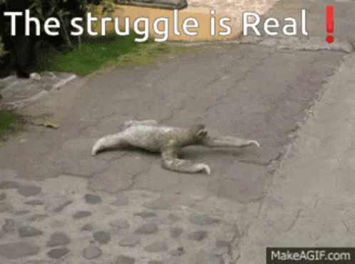 The Struggle Is Real Tired GIF - The Struggle Is Real Tired Good Morning GIFs