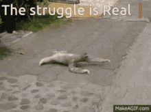 The Struggle Is Real Tired GIF - The Struggle Is Real Tired Good Morning GIFs
