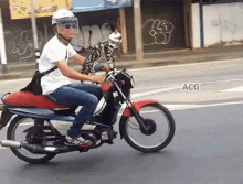 มอไซค์ แมว GIF - Cat Motorbike แว้น GIFs