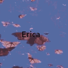Erica But Did You Die GIF - Erica But Did You Die Butterfly GIFs