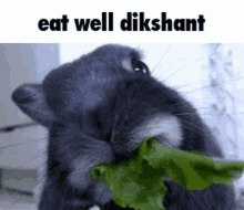 Dikshant Eat GIF - Dikshant Eat GIFs