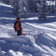 Snow Ski GIF - Snow Ski Fall Down GIFs