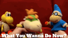 Sml Bowser Junior GIF - Sml Bowser Junior What You Wanna Do Now GIFs