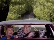 Toonces Fast Drive GIF - Toonces Fast Drive Shook GIFs