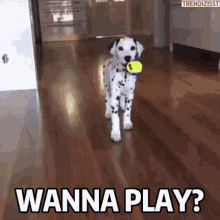 Wanna Play Dog GIF - Wanna Play Dog Dalmatian GIFs