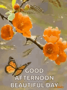 Good Afternoon Flowers GIF - Good Afternoon Flowers Sparkles GIFs