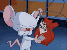 Pinky And The Brain Earth GIF - Pinky And The Brain The Brain Earth GIFs